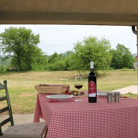 Villa Zwei Zedern Pićan 외부 사진